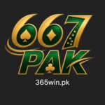 667pak game logo