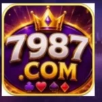 7987 Game Logo