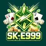 SK-E999 Game Logo