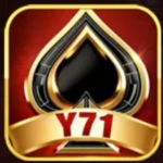 Y71 Game Logo