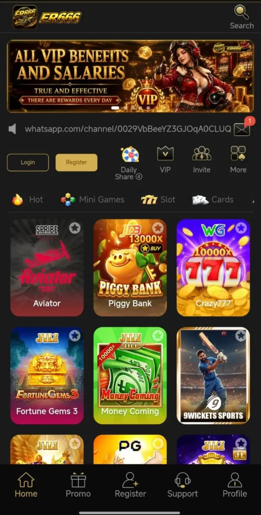 ER666 Game Interface
