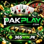 PakPlay Game