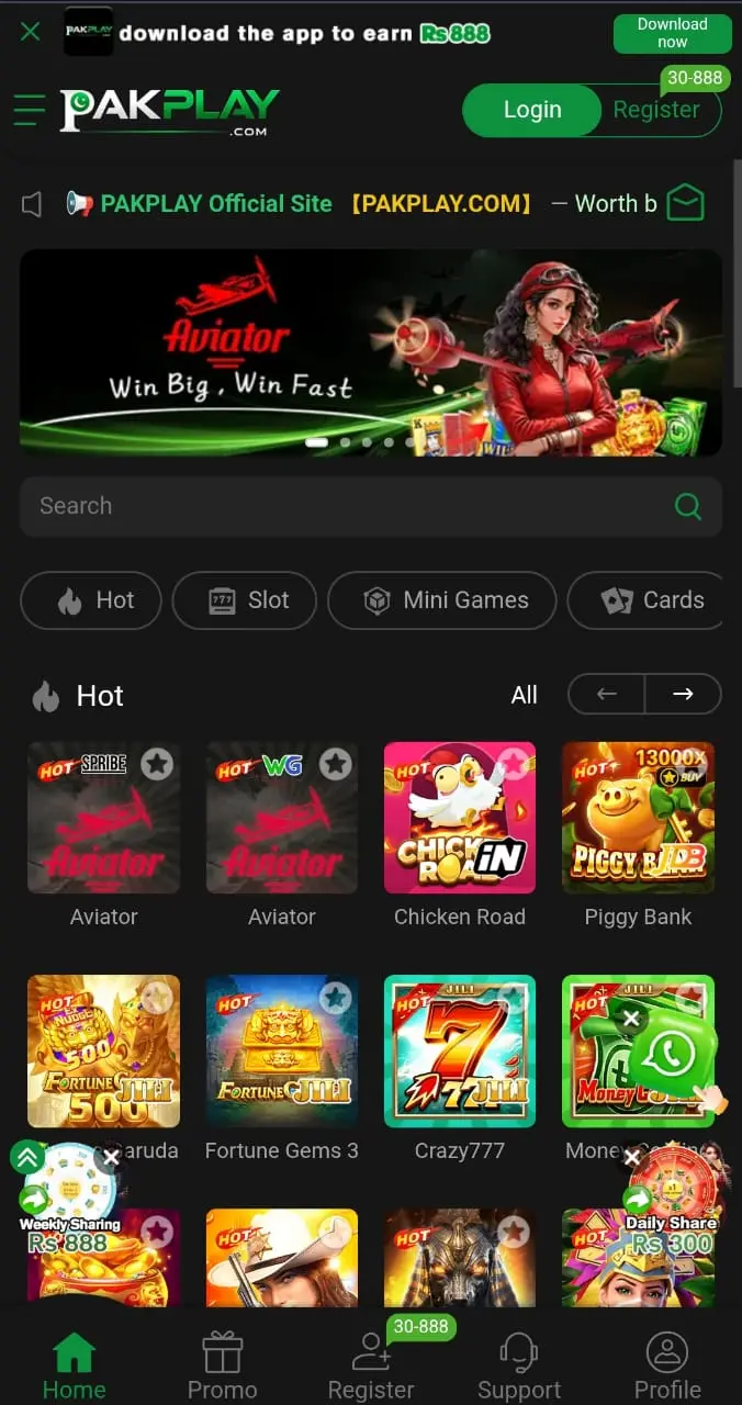 PakPlay Game Interface