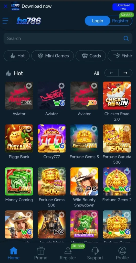HE786 Game Interface