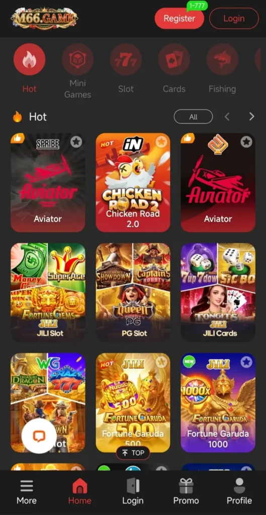 M66 Game Interface