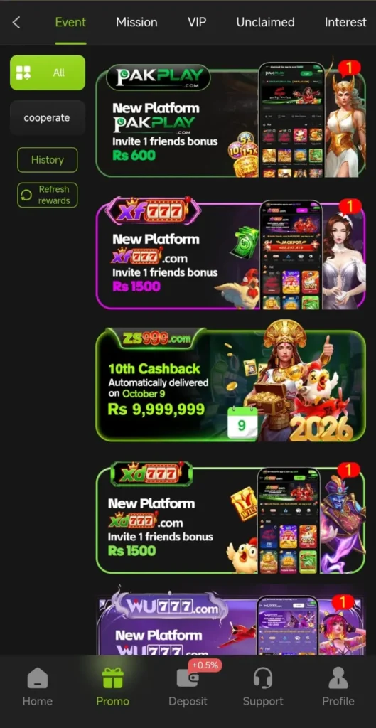 ZS999 Game Promotion