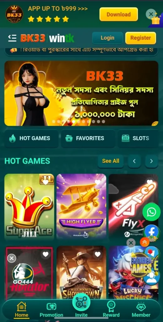 BK33 Interface
