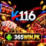 K116 Game